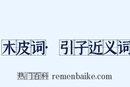 木皮词·引子近义词是什么意思的图片